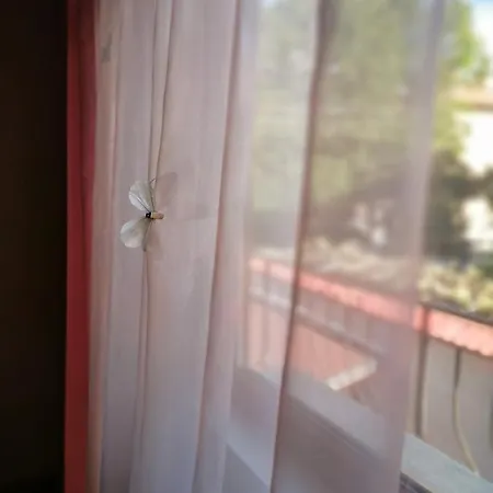 Casa Divna Гостевой дом *